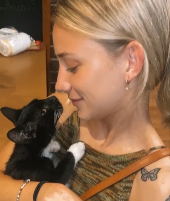 Veterinarians in Lynbrook Lynbrook NY Veterinarians